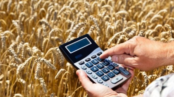 На поддержку российских фермеров будет направлено почти 14 млрд рублей - «Новости Дня»