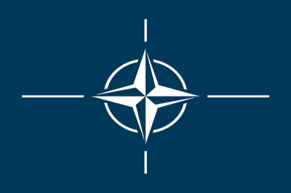 НАТО в очередной раз заявило о непризнании Крыма российским - «Происшествия»