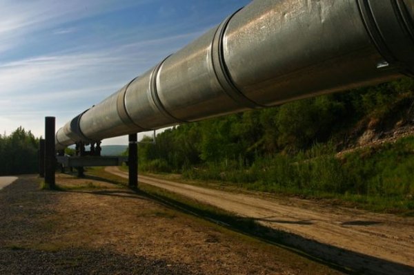 По делу о загрязнении нефти в трубопроводе «Дружба» задержаны четверо - «Политика»