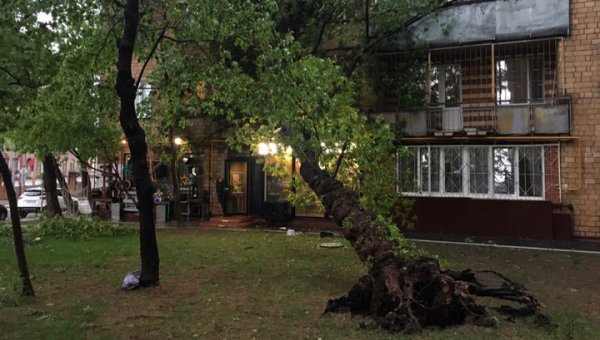 По Москве прошел сильный ураган - «Новости дня»