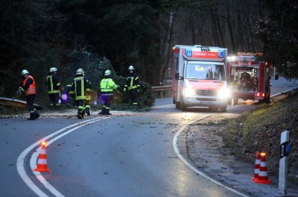 Поезд столкнулся с грузовиком в Германии, 20 человек пострадали - «Происшествия»