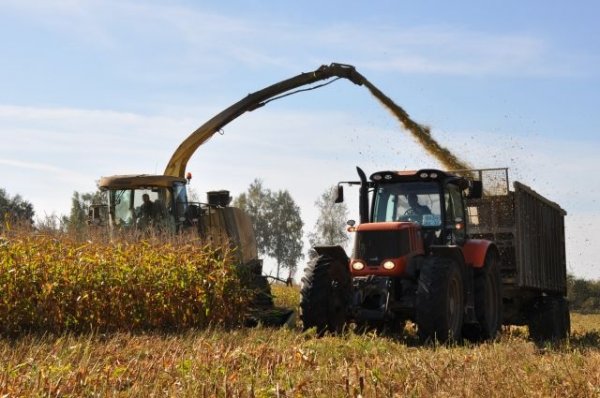Правительство выделило 3 млрд рублей на обновление сельхозтехники - «Политика»