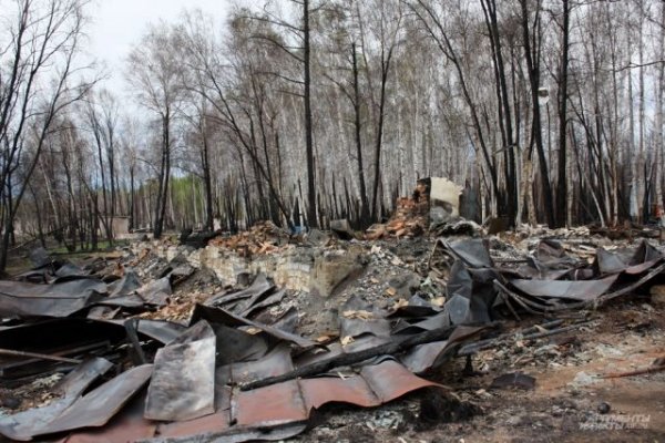 Правительство выделило 450 млн рублей пострадавшим от пожаров в Забайкалье - «Политика»
