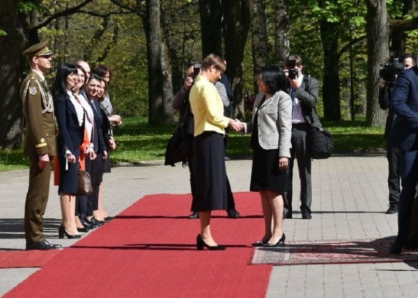 Президент Грузии во время визита в Эстонию: Мы стремимся в ЕС - «Новости Дня»