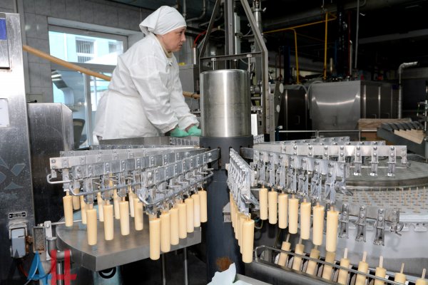 Производитель мороженого «Винтерпром» планирует реализовывать продукцию в странах Евразийского союза 