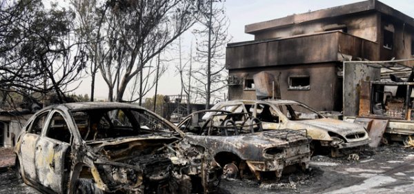 Противопожарная служба Израиля опубликовала результаты расследования причин пожаров - «Новости дня»