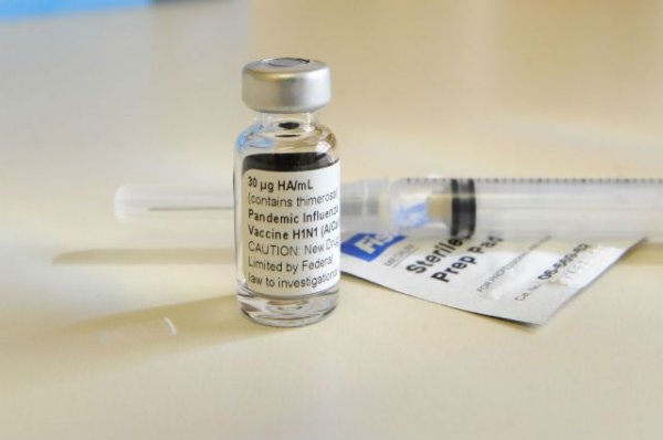 Роспотребнадзор предупредил о вспышках свиного гриппа в Индии - «Политика»