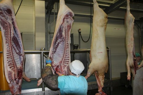 Россия получила право на поставки мяса в Венесуэлу - «Политика»