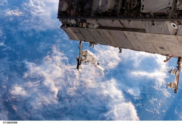 Российские космонавты Овчинин и Кононенко вышли в открытый космос - «Происшествия»