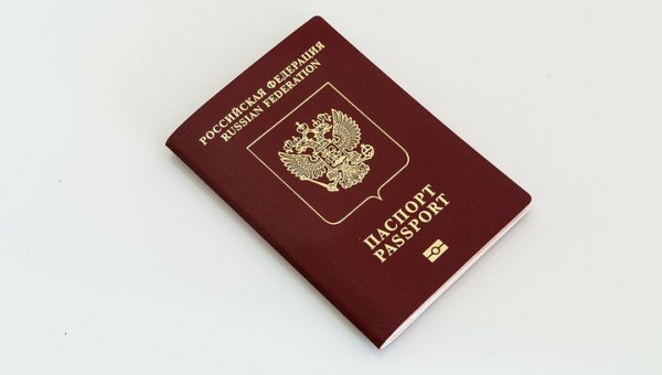 Российские паспорта для жителей ДНР: в неделю будут оформлять до четырех тысяч - «Новости дня»