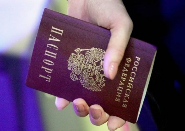 С 3 мая начнется прием заявлений на получение паспорта РФ для жителей ДНР - «Военное обозрение»