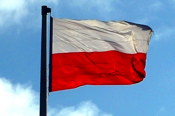 Садоводческое объединение Польши просит отменить российское эмбарго - «Происшествия»