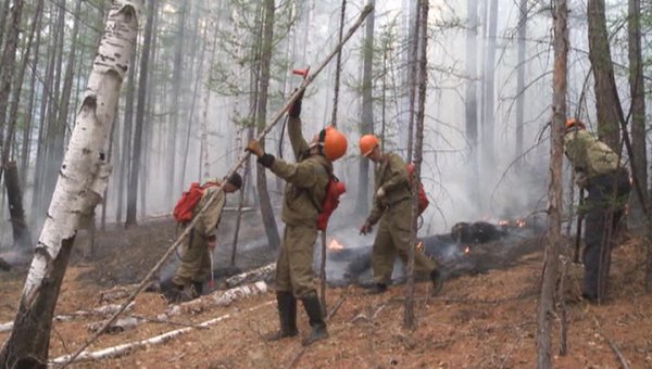 Ситуация с лесными пожарами в России постепенно улучшается - «Новости дня»