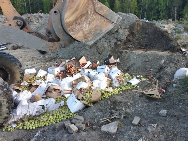 В Екатеринбурге вынесли смертный приговор тонне нектарин и яблок