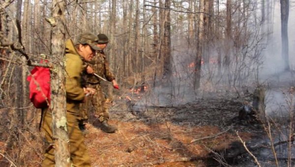В Иркутской области бушуют лесные пожары - «Новости дня»