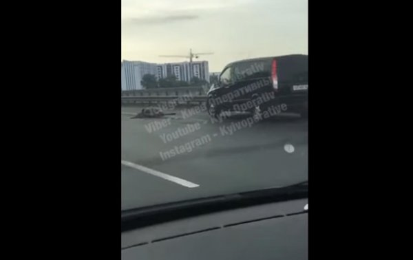 В Киеве на мосту Mercedes сбил насмерть лося - (видео)