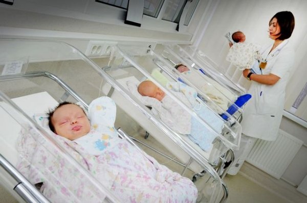 В Кракове впервые родились сразу шесть близнецов - «Происшествия»