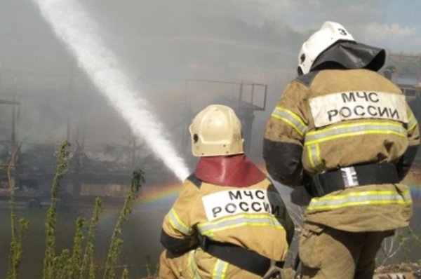 В Красноярском крае в результате пала травы вспыхнули дачные постройки - «Политика»
