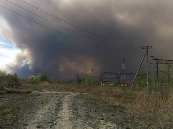 В Курганской области из-за пожара эвакуируют целое село