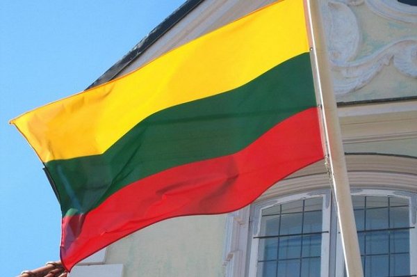 В Литве пройдет второй тур выборов президента - «Происшествия»