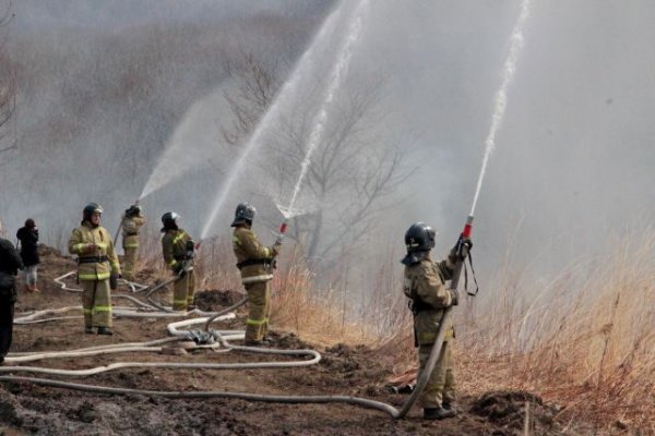 В МЧС назвали площадь пожаров на территории России - «Происшествия»