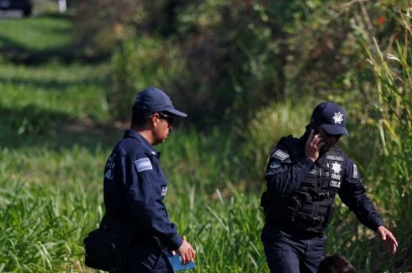В Мексике разбился частный самолет - «Происшествия»