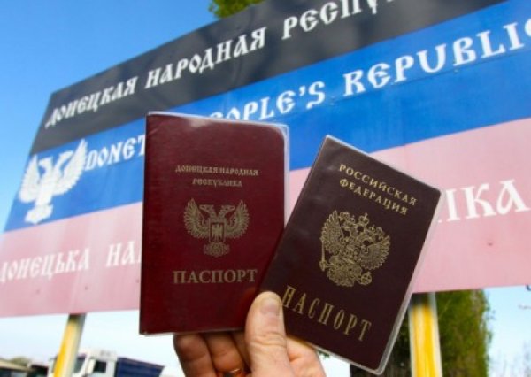 В правительстве Германии не смогли подтвердить незаконность выдачи паспортов жителям ЛДНР - «Военное обозрение»