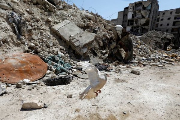 В результате обстрела боевиков погибли пять сирийских детей - «Происшествия»