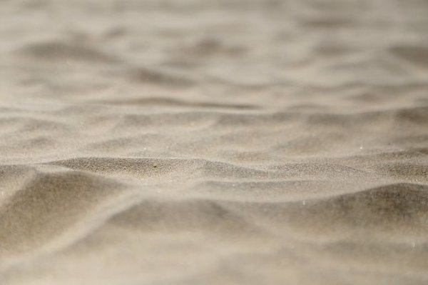 В Тамбовской области 9-летнего ребенка насмерть засыпало песком - «Политика»