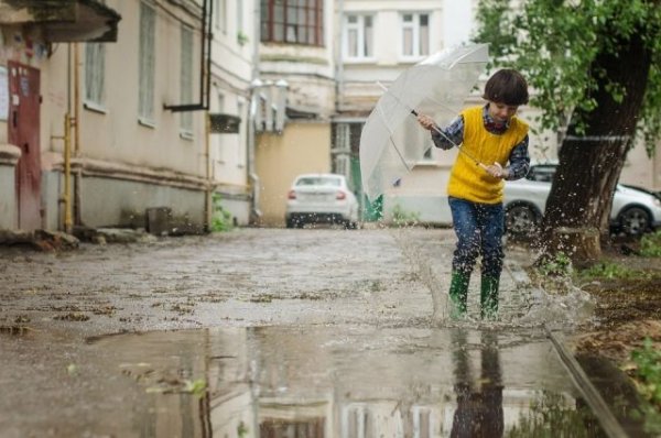 В выходные дни в Москве ожидаются дожди и грозы - «Политика»