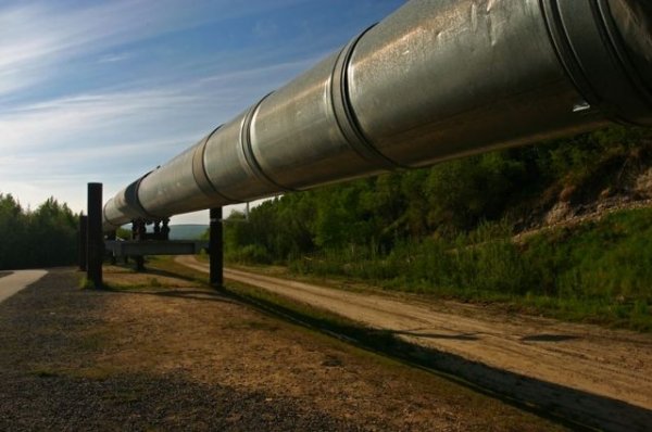 Венгрия запустила перекачку нефти по трубопроводу «Дружба» - «Происшествия»