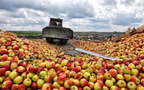 «Яблочная война»: как поляки перед Россией капитулировали - «Происшествия»