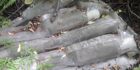 На Донбасі правоохоронці виявили схрон боєприпасів - «Автоновости»