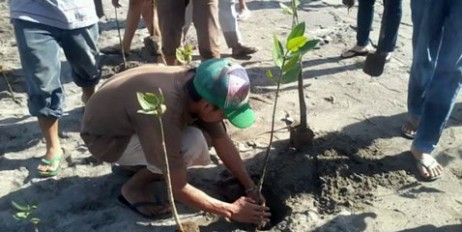 На Филиппинах учеников перед выпуском обязали садить деревья - «Общество»