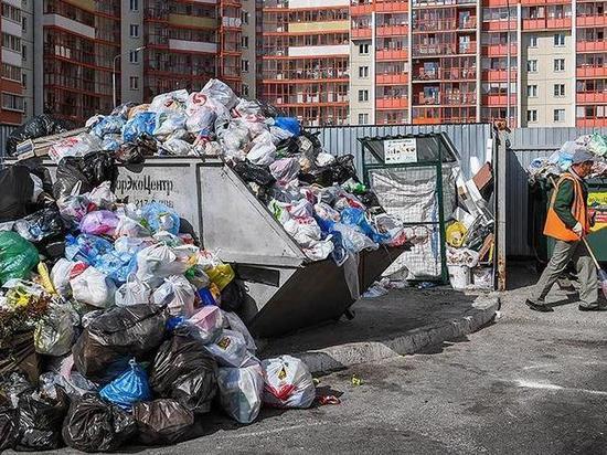 Объем мусора на крымских свалках достиг 55 млн кубометров
