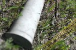 Опасный боеприпас нашли в Приморье - «Новости Уссурийска»