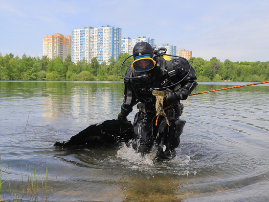 Парковые водоемы Нижнего Новгорода почистят к летнему сезону
