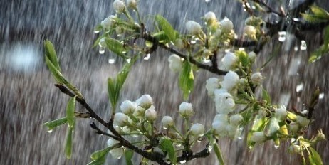 Першого травня в Україну прийде дощовий циклон Valentin, - синоптик - «Общество»