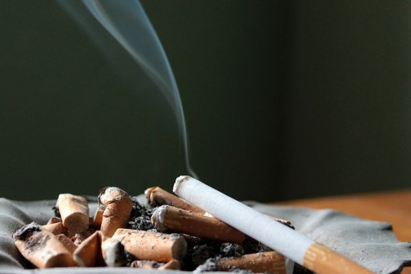 Сигареты без фильтра признаны наиболее опасными — ученые - «Новости Дня»