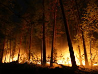 The Unearthed (Великобритания): разрушительные природные пожары в России - «Общество»
