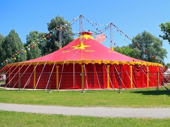 В Магасе запретили все цирковые выступления с животными