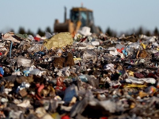 В Тульской области изучат морфологический состав мусора за 10 млн рублей