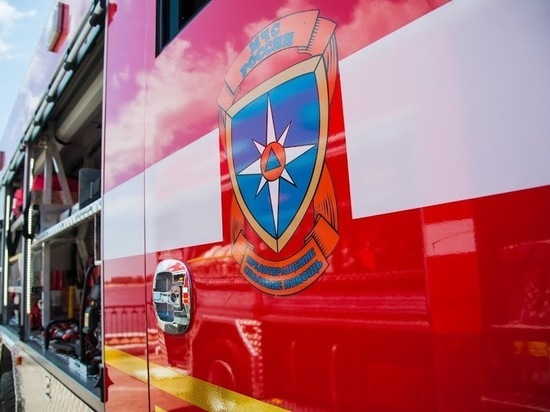 В Волгоградской области из-за короткого замыкания сгорела иномарка