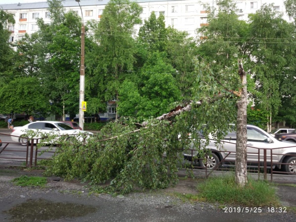 Ветер во Владикавказе стал причиной гибели женщины - «Новости Дня»