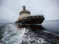 VG (Норвегии): таяние морских льдов в Арктике рождает новые дилеммы в сфере безопасности - «Политика»