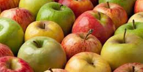 Врачи объяснили, почему полезно есть яблоки каждый день - «Общество»