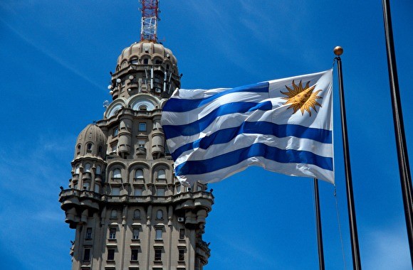 Зять экс-владельца «Уралкалия» Рыболовлева будет участвовать в выборах президента Уругвая - «Общество»