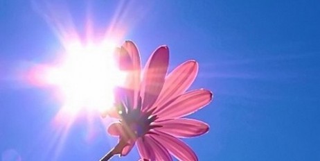 Дієтолог Світлана Фус розказала, скільки сонця нам потрібно влітку - «Общество»