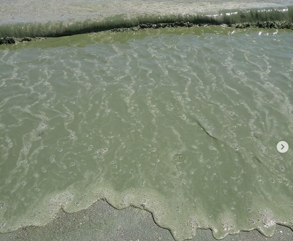 Экологическая катастрофа. В Одессе внезапно позеленело море из-за ядовитых веществ - «Технологии»