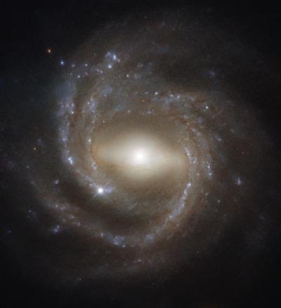 «Хаббл» сфотографировал спиральную галактику с перемычкой NGC 7773 - «Здоровье»